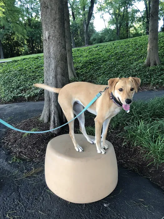Banfield Pet Hospital 12