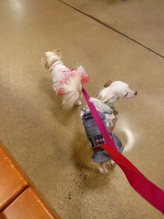 Banfield Pet Hospital 12