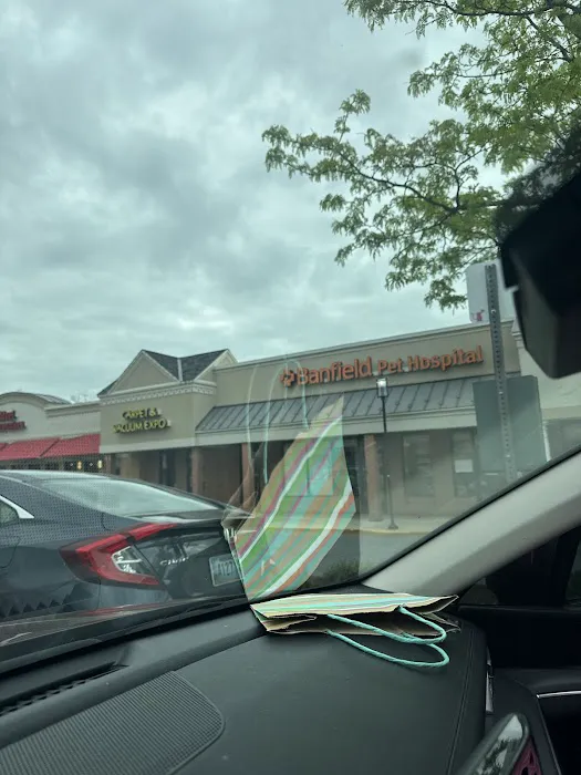 Banfield Pet Hospital 12