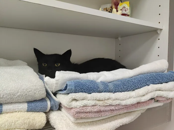 Olney-Sandy Spring Veterinary Hospital 12