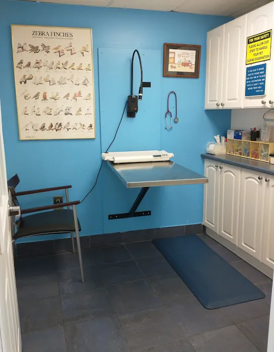 Best Friends' Veterinary Hospital 1