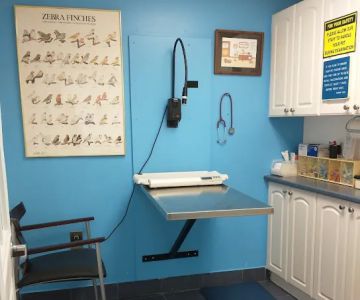 Best Friends' Veterinary Hospital