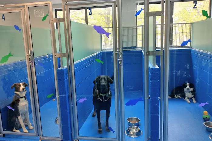 Best Friends' Veterinary Hospital 5