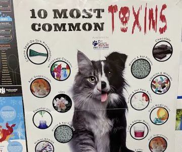 Montgomery Village Veterinary Center