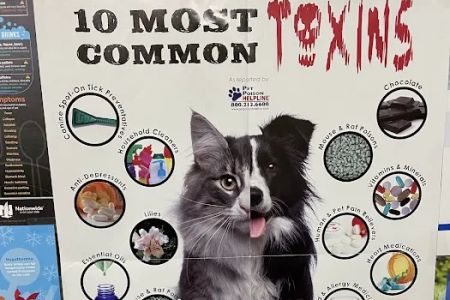 Montgomery Village Veterinary Center