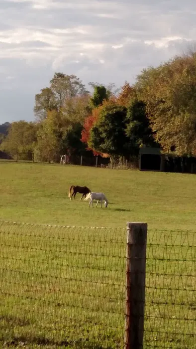 Laytonsville Veterinary Practice 1