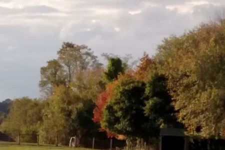 Laytonsville Veterinary Practice