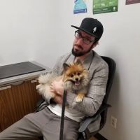 Maple Springs Veterinary Hospital: Harvey Elisa DVM ico