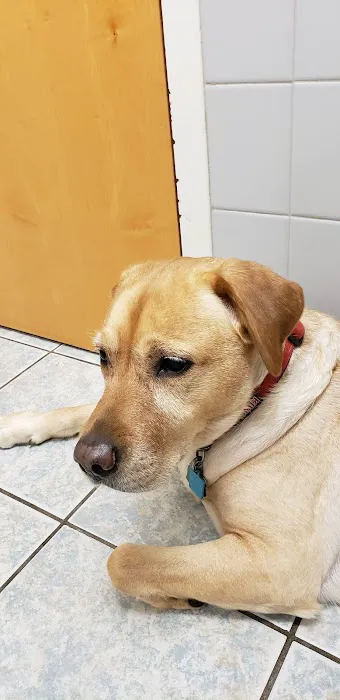 Animal Medical Center of Cascades 1