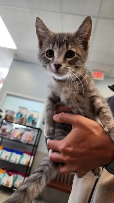 Animal Medical Center of Cascades 6
