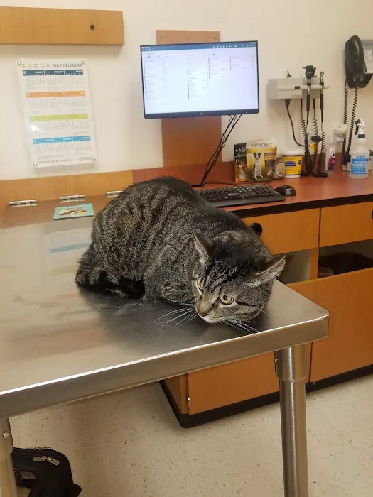 Banfield Pet Hospital 1