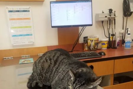 Banfield Pet Hospital