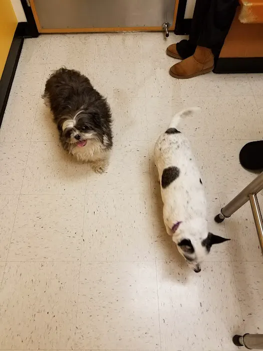Banfield Pet Hospital 5