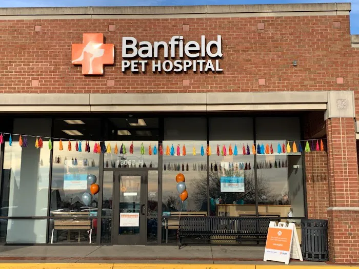 Banfield Pet Hospital 12