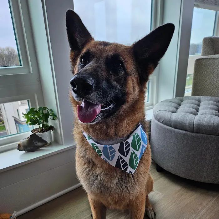 Sully Animal Hospital 8