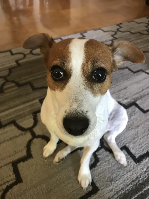 Sully Animal Hospital 7