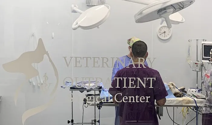 Veterinary Outpatient Surgical Center 12
