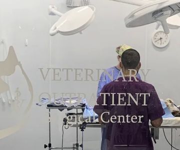 Veterinary Outpatient Surgical Center