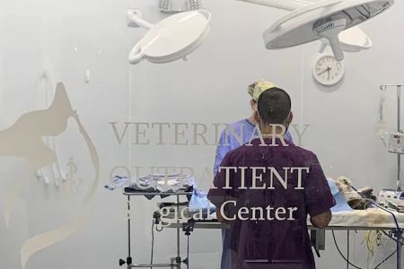 Veterinary Outpatient Surgical Center