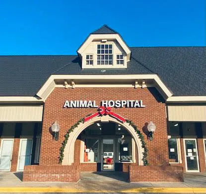 Veterinary Outpatient Surgical Center 12