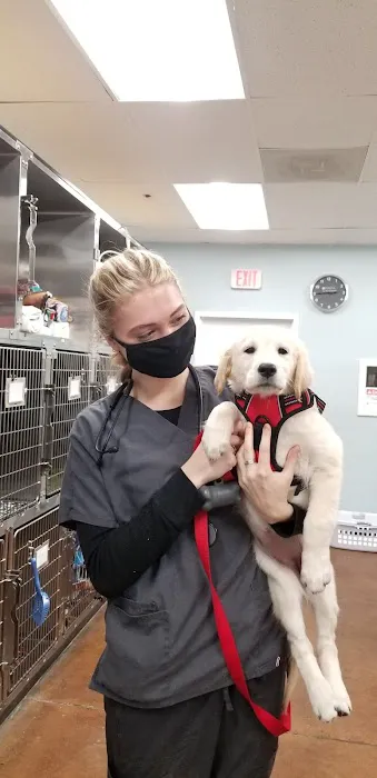Veterinary Outpatient Surgical Center 12