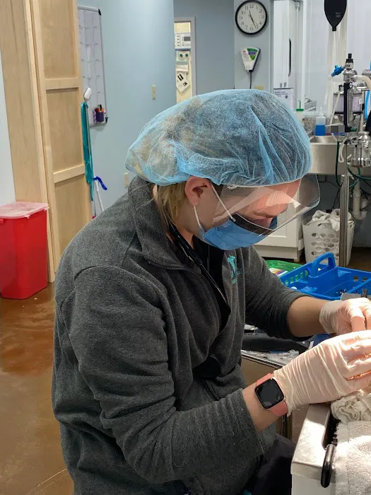 Veterinary Outpatient Surgical Center 12