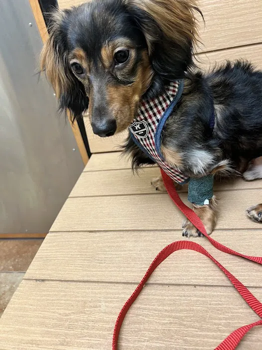Banfield Pet Hospital 12
