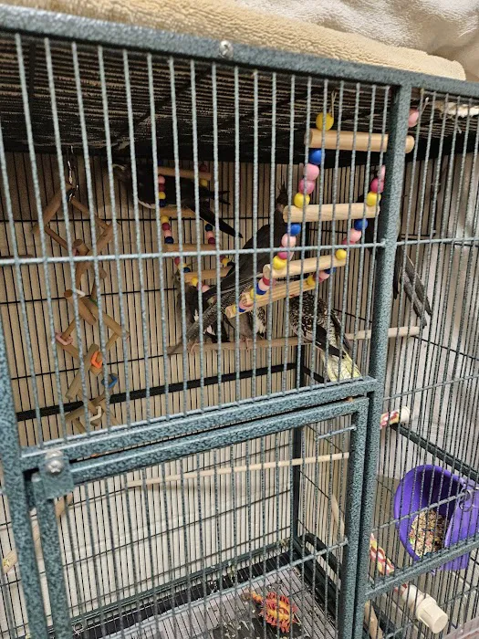 Banfield Pet Hospital 12