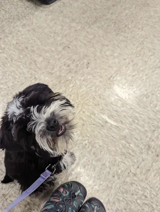 Banfield Pet Hospital 12