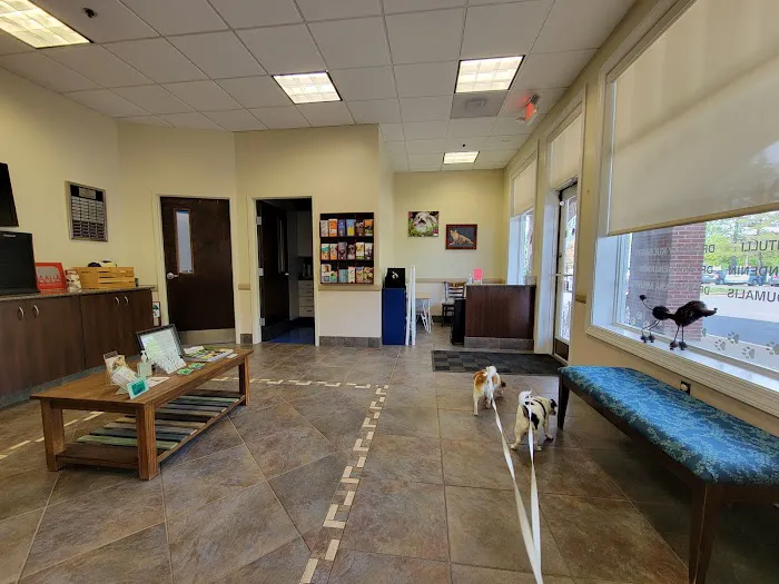 Caring Hands Animal Hospital - Centreville 12