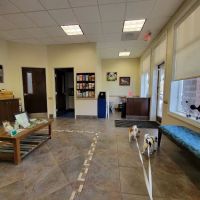Caring Hands Animal Hospital - Centreville ico