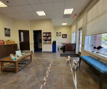 Caring Hands Animal Hospital - Centreville