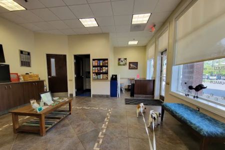 Caring Hands Animal Hospital - Centreville