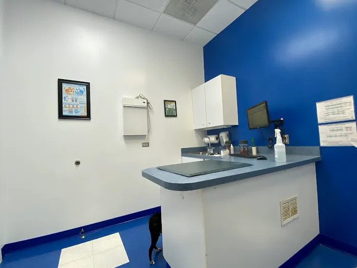 Caring Hands Animal Hospital - Centreville 12