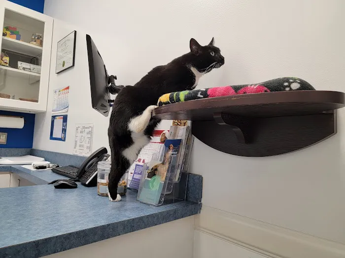 Caring Hands Animal Hospital - Centreville 12