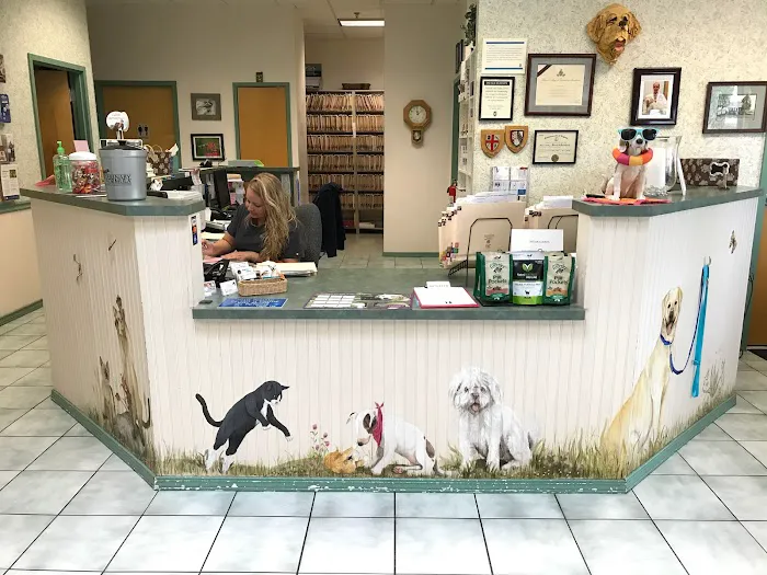 Clifton-Centreville Animal Clinic 12