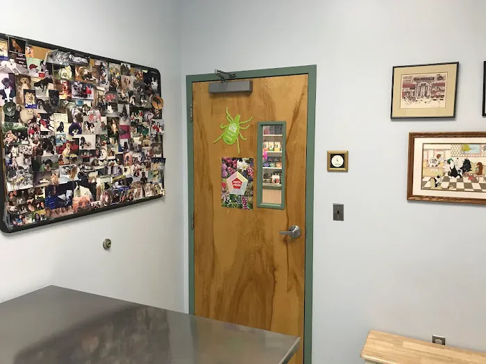 Clifton-Centreville Animal Clinic 12