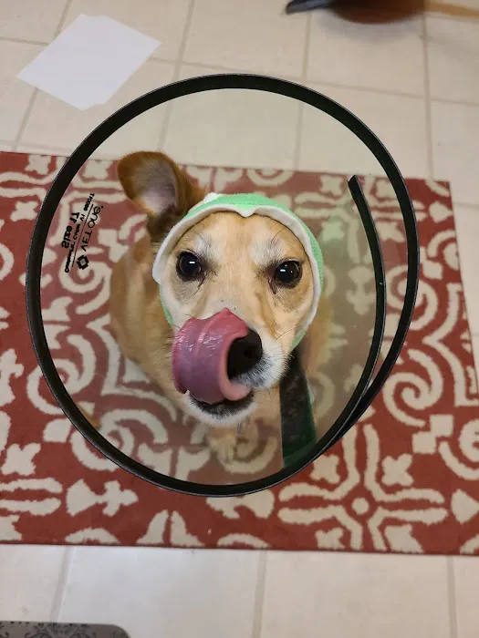 Centreville Square Animal Hospital 12