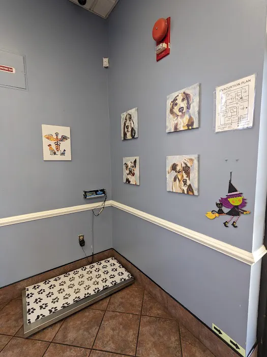 Centreville Square Animal Hospital 12