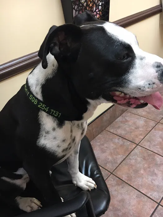Centreville Square Animal Hospital 12