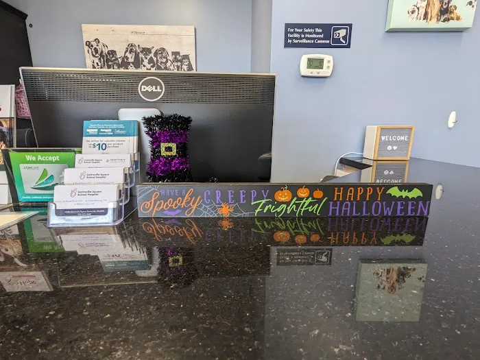 Centreville Square Animal Hospital 12