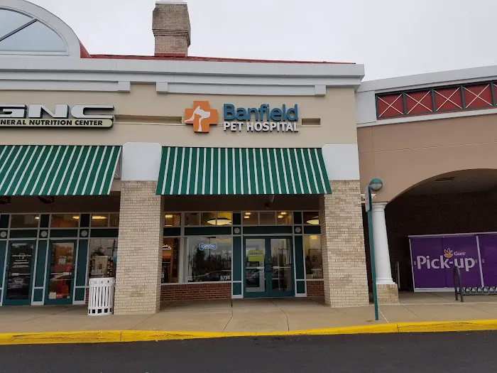 Banfield Pet Hospital 1