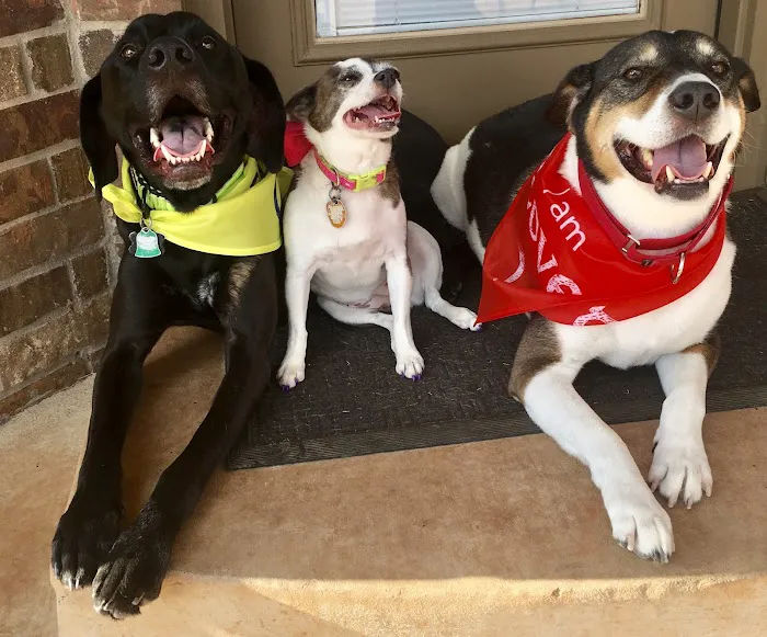 Banfield Pet Hospital 4