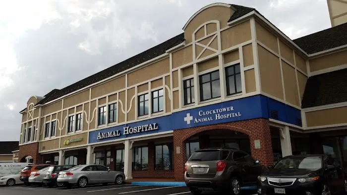 Clocktower Animal Hospital 3