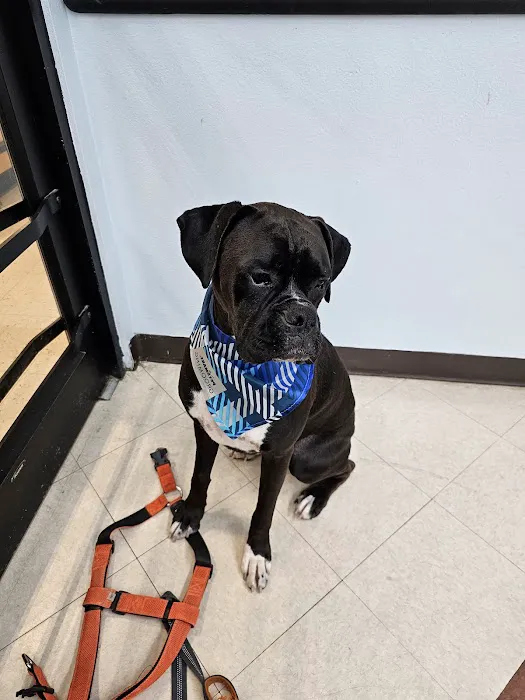 Banfield Pet Hospital 3