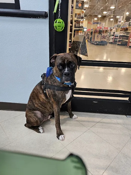 Banfield Pet Hospital 4