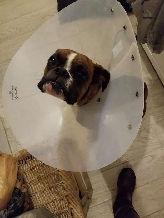 Banfield Pet Hospital 6