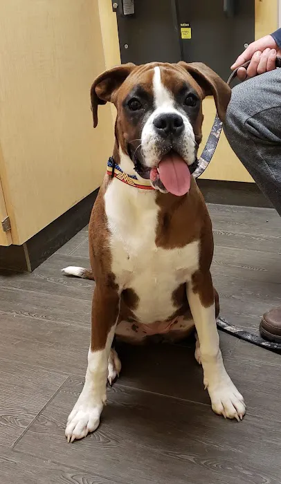 Banfield Pet Hospital 5