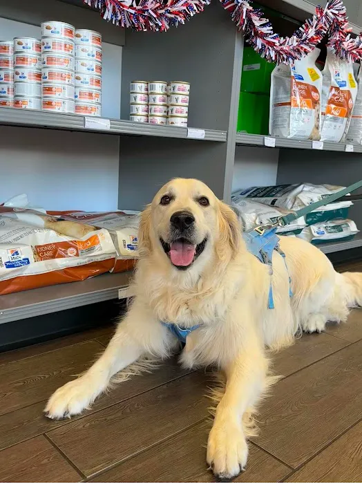 Banfield Pet Hospital 7