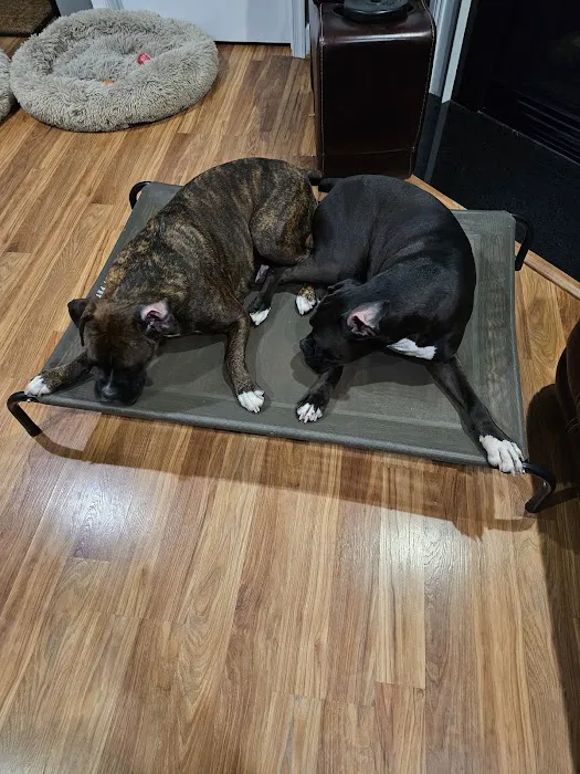 Banfield Pet Hospital 8